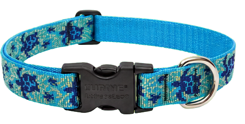 LupinePet Original Designs Turtle Reef Adjustable Dog Collar, 1 Inch, 12 to 20 Inches