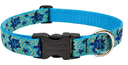 LupinePet Turtle Reef Dog Collar, 1 in, 12–20 in