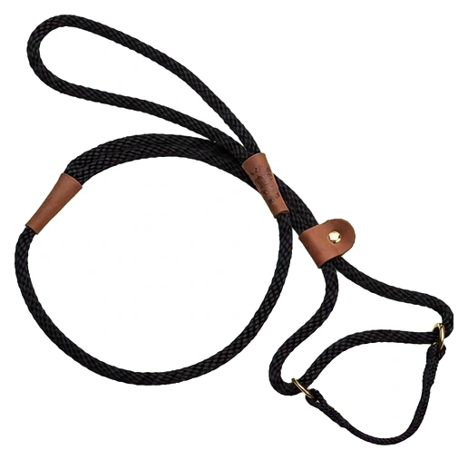 Mendota Dog Walker Martingale Lead, Black, 6 ft