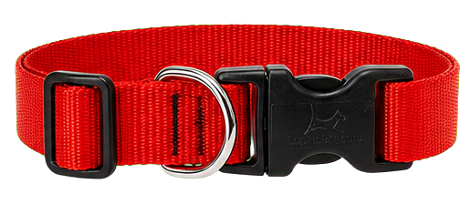 LupinePet Basic Solids Red Adjustable Dog Collar, 1 Inch, 16 to 28 Inches