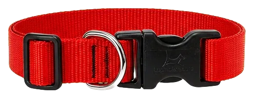 LupinePet Red Adjustable Dog Collar, 1 in, 16–28 in