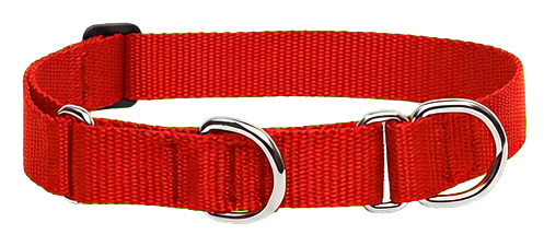 LupinePet Basic Solids Red Martingale Dog Collar, 1 Inch, 15 to 22 Inches