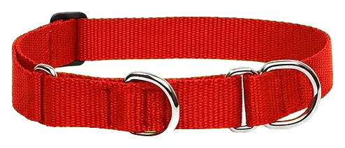 LupinePet Red Martingale Collar, 1 in, 15–22 in