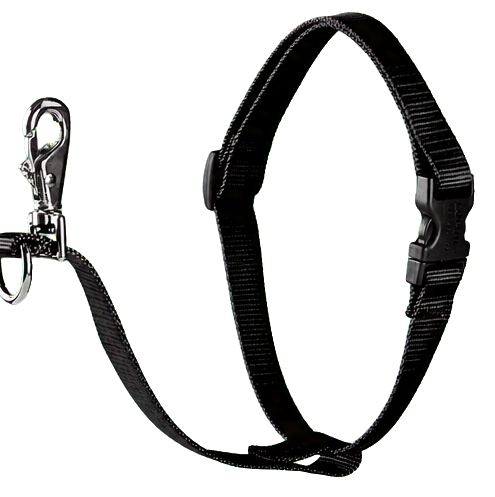 LupinePet Basic Solids Black No-Pull Dog Harness, 1 Inch, 26 to 38 Inches