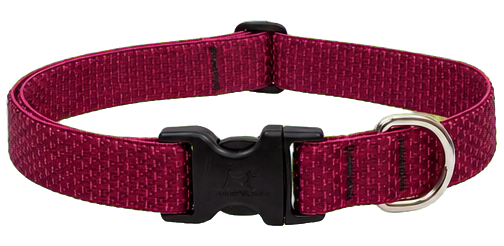 LupinePet Eco Berry Adjustable Dog Collar, 1 Inch, 16 to 28 Inches
