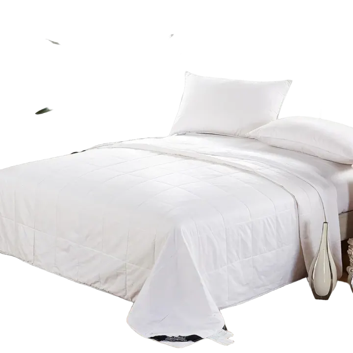 LilySilk 100% Mulberry Silk Filled Comforter