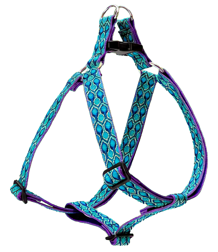 LupinePet Original Designs Rain Song Step-In Dog Harness, 1 Inch, 24 to 38 Inches