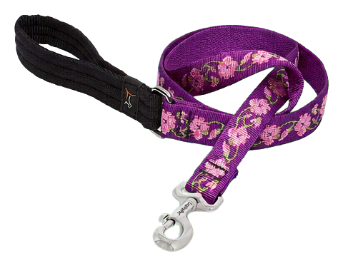 LupinePet Original Designs Rose Garden Padded-Handle Dog Leash, 1 Inch by 4 Feet