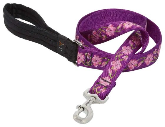 LupinePet Rose Garden Padded-Handle Leash, 1 in x 4 ft