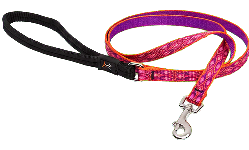 LupinePet Original Designs Alpen Glow Padded-Handle Dog Leash, 1/2 Inch by 4 Feet