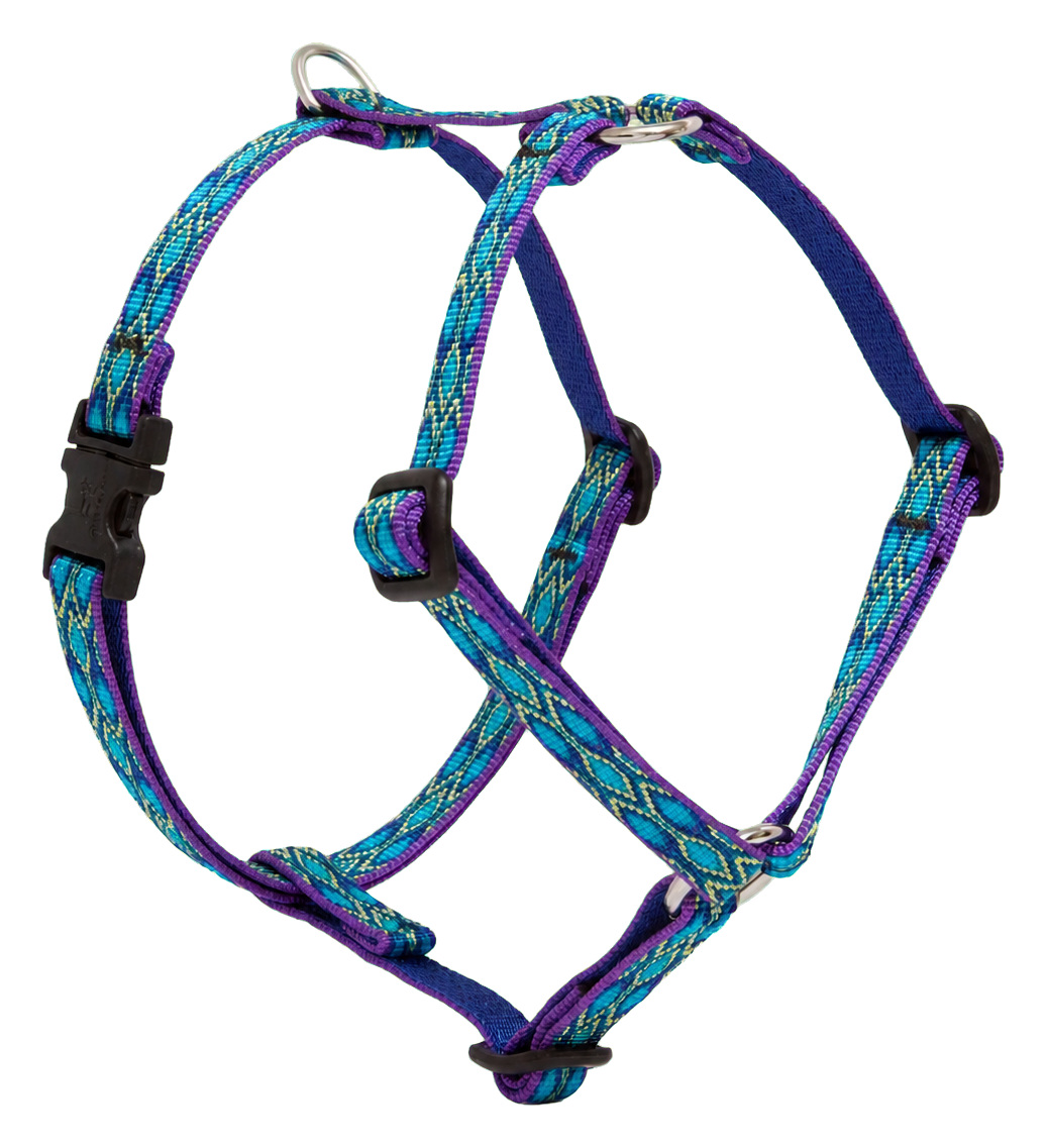 LupinePet Original Designs Rain Song Roman Dog Harness, 1/2 Inch, 9 to 14 Inches