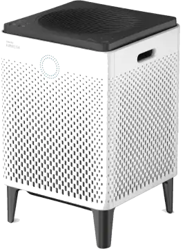 Coway Airmega 300 Air Purifier