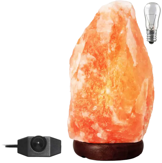 The Body Source Himalayan Salt Lamp