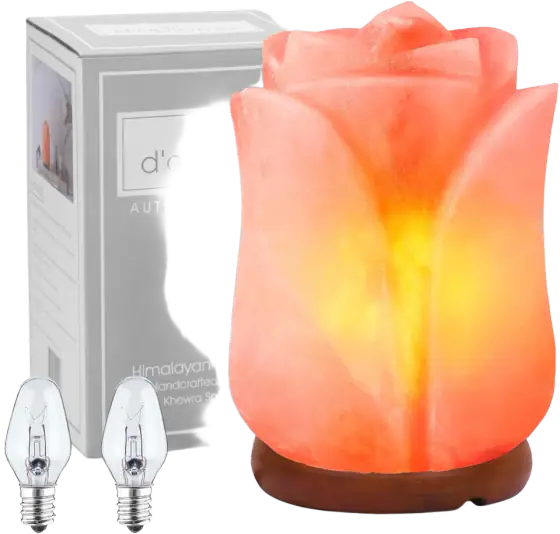 Hand Carved Rose Himalayan Salt Lamp