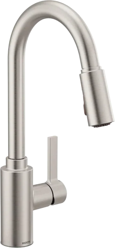 Moen Genta LX Kitchen Faucet with Pull-Down Sprayer