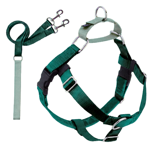 2 Hounds Design Freedom No-Pull Dog Harness and Leash Set, Kelly Green, Medium
