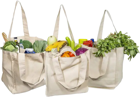 Canvas Grocery Shopping Bags, Reusable Cotton Cloth Totes