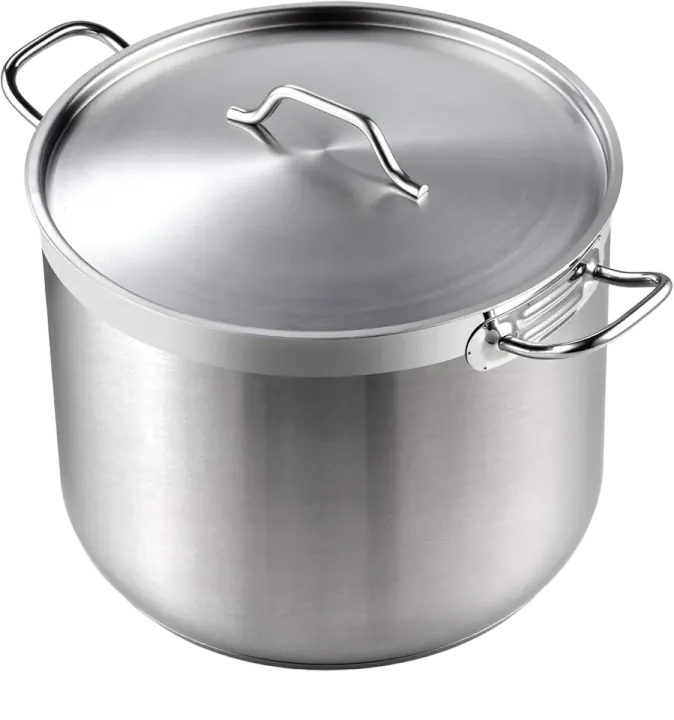 Cooks Standard Professional Stainless Steel Stockpot