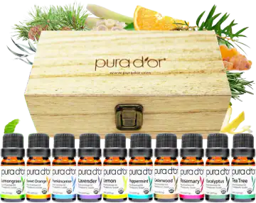 PURA D'OR Organic Perfect10 Essential Oils Set