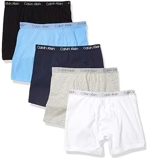 Calvin Klein Modern Cotton Boxer Briefs — 5-Pack, L