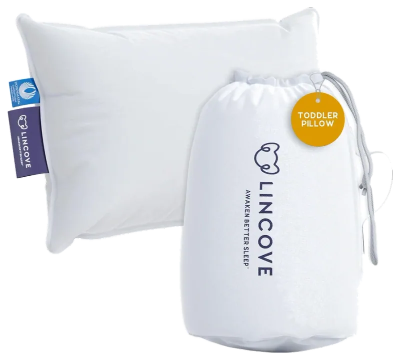 Lincove Down/Feather Toddler Pillow — Cotton, 13 × 18