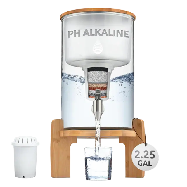 Invigorated Water pH Recharge Glass Water Filter Dispenser