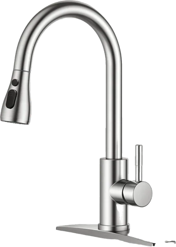 FORIOUS Kitchen Faucets with Pull Down Sprayer, Brushed