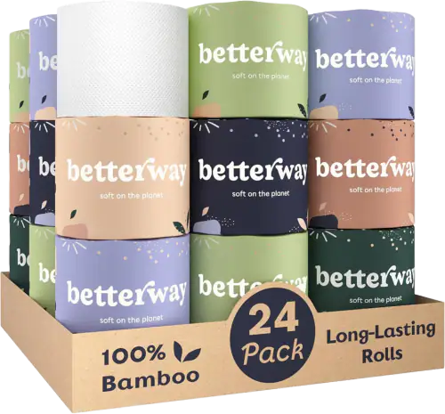 Betterway Bamboo Toilet Paper, 24 Long Rolls