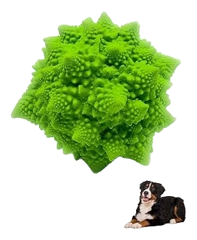 Lucas b Natural Latex Rubber Broccoli Dog Toy, XL
