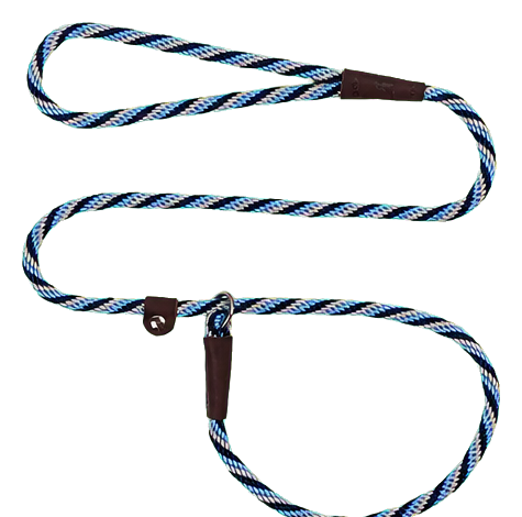 Mendota Pet Slip Leash and Collar Combo, Arctic Blue, 3/8 Inch by 6 Feet