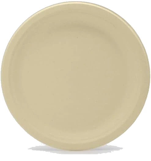 Tellus 10 Inch Disposable Plates, 125 Count, Compostable Plant Fiber