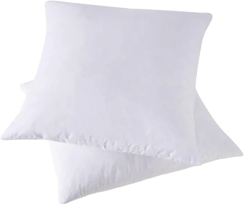HOMESJUN Down & Feather Throw Pillow Inserts, Set of 2