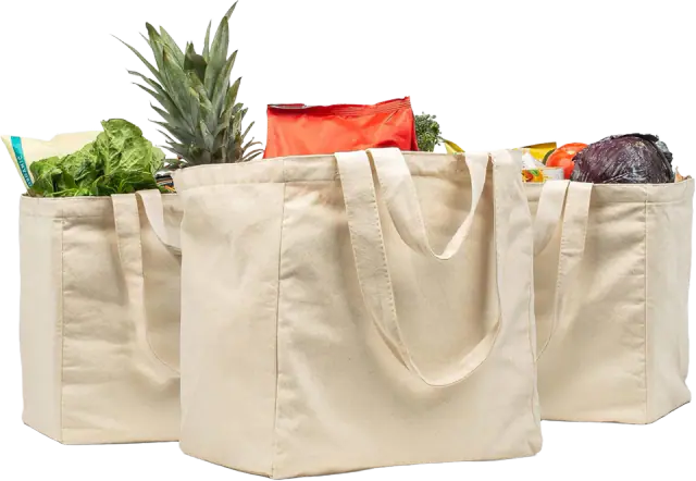 VeraMia Canvas Grocery Bag 3pc XL Set with Real Pockets