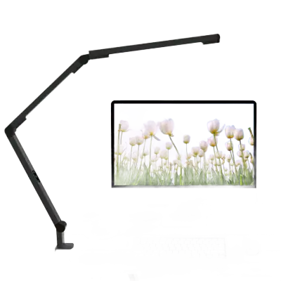 Dual-Light Clamp Desk Lamp