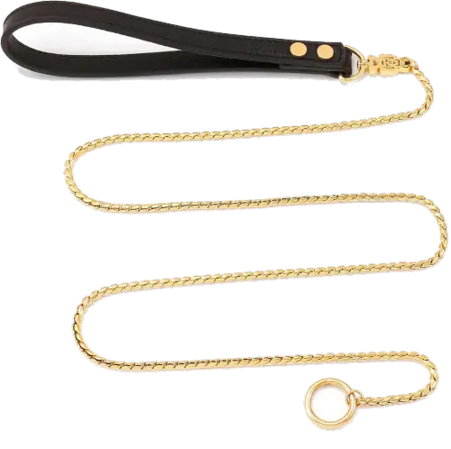 CaptainSteeL Chain Collar and Lead, Gold, 3 ft