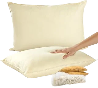 Cheer Collection Organic Kapok Pillows — Standard