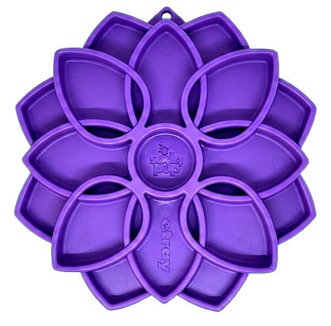 SodaPup Mandala eTray Shallow Enrichment Feeder
