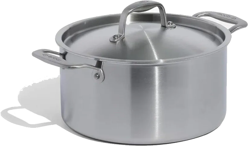 Made In 6-Qt 5-Ply Stainless Steel Stockpot with Lid