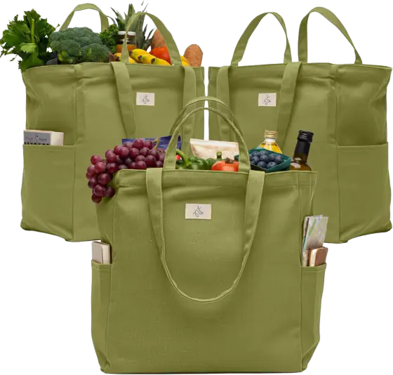 Nook Theory 3-Pack Reusable Grocery Bags - Heavy Duty