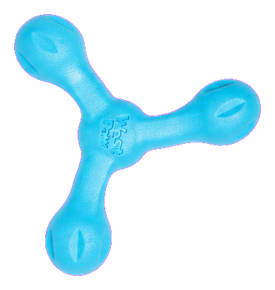 West Paw Skamp Large Hollow Tug and Fetch Toy