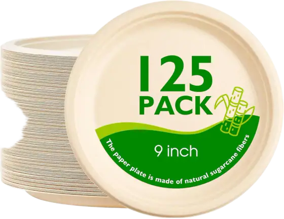 9 Inch Compostable Paper Plates 125 Pack