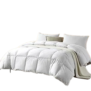 Farm To Home Feather/Down Comforter — Organic Cotton Twin