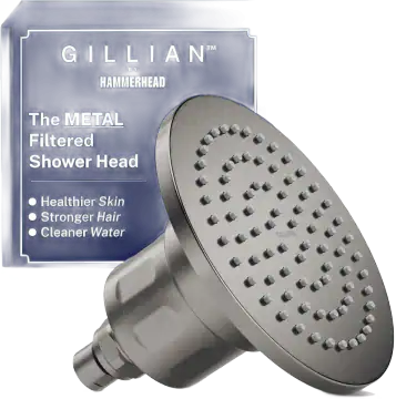 Gillian KDF 55 Filtered Shower Head - Gray