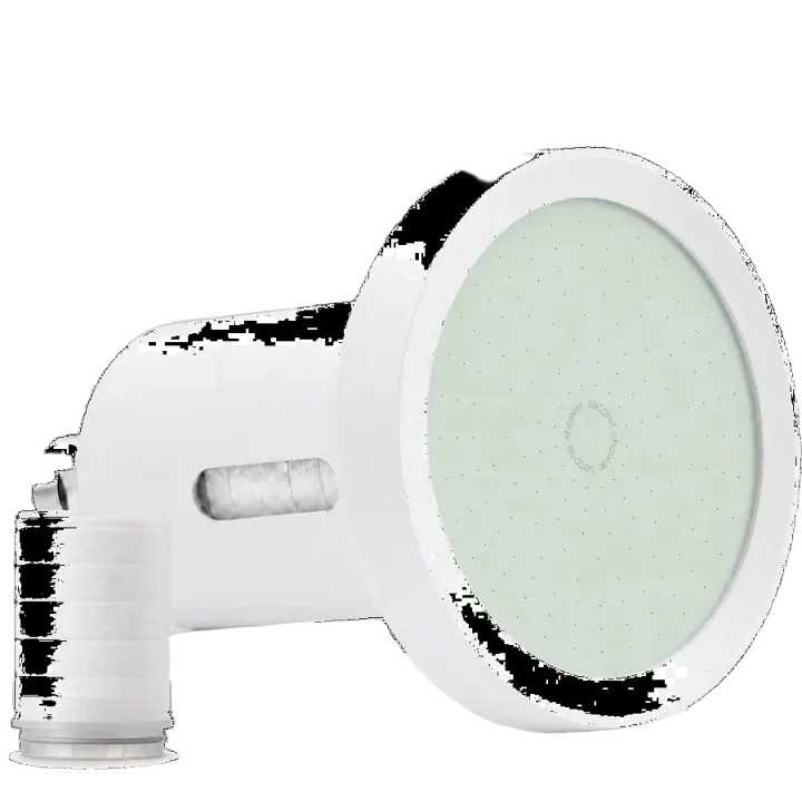 Second Shower Filtered Showerhead