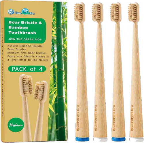 BlueForest Era Boar-Bristle Bamboo Toothbrushes — 4 Pack