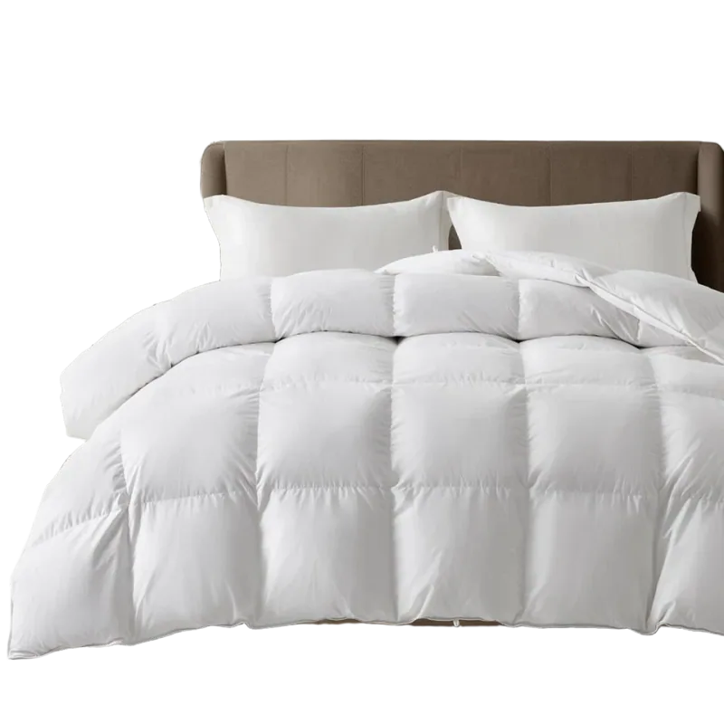 Maple&Stone Feather Down Comforter, King