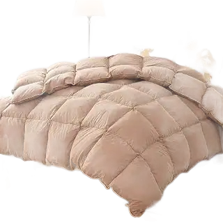 Vexino Feather and Down Comforter — Queen