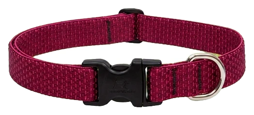 LupinePet Eco Berry Dog Collar, 1 in, 16–28 in