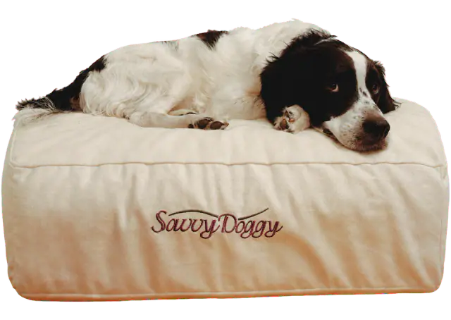Savvy Rest Savvy Doggy Extra Support Organic Dog Bed