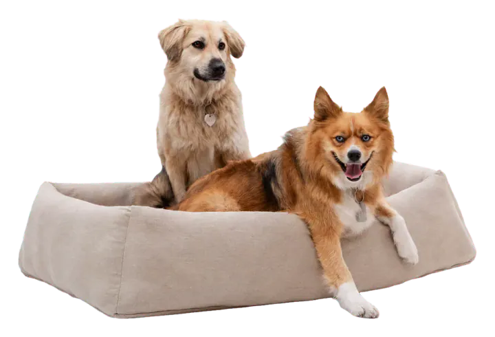 Home of Wool Pure Wool Dog Bed